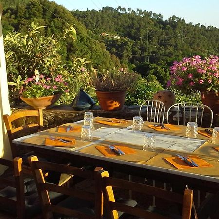 Casa Vacanze Al Settimo Cielo Μάσσα Εξωτερικό φωτογραφία
