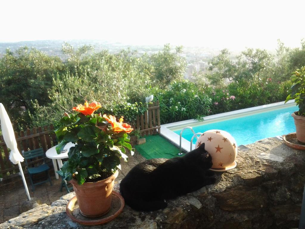 Casa Vacanze Al Settimo Cielo Μάσσα Εξωτερικό φωτογραφία