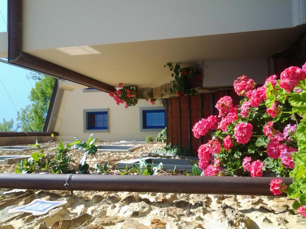 Casa Vacanze Al Settimo Cielo Μάσσα Εξωτερικό φωτογραφία